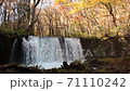 Choshi Otaki 71110242