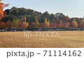 Korea Autumn Fall Leaves Park 71114162