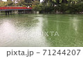 雨の降る小田原城のお堀 71244207