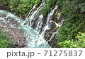 北海道美瑛町白金　白ひげの滝　 71275837