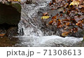 Slow motion of a river cascading peacefully down a small, scenic waterfall 71308613