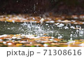 Slow motion of a river cascading peacefully down a small, scenic waterfall 71308616