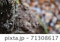 Slow motion of a river cascading peacefully down a small, scenic waterfall 71308617