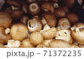 4k Group of mushrooms in the basket supermarket shelf. Food ingredient fresh champignon mushroom. 71372235