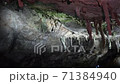山口県美祢市の秋芳洞　Team Traister 71384940