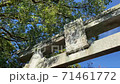 山口県美祢市の神社の鳥居　Team Traister 71461772