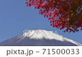 Mt. Fuji and maple autumn leaves 71500033