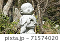 親愛的大分先生 71574020