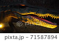 giant predator irritator dinosaurus with sharp teeth 71587894