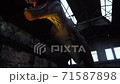 giant tyrannosaurus dinosaurus with sharp teeth 71587898