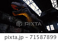 giant tyrannosaurus dinosaurus with sharp teeth 71587899