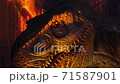 giant tyrannosaurus dinosaurus with sharp teeth 71587901