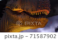 giant tyrannosaurus dinosaurus with sharp teeth 71587902