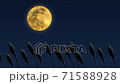 ススキが揺れる満月の夜空　ループアニメーション 71588928