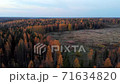 Aerial Drone view of the flight over the autumn forest at sunset. 71634820