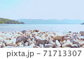Pure nature with incredible clear green waters on a summer day in Didim, Turkey 71713307