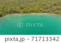 Aerial drone view over the coastline surrounded by green nature and Aegean sea waters in a secret bay in Akbuk, Didim, Turkey 71713342