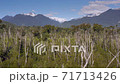 Aerial of Rio Negro village, Llancahue, Hornopiren at Austral, Route 7, Chile, South America. 71713426