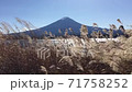 Fuji and Susuki 71758252