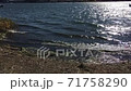 Mount Fuji and Lake Kawaguchi 71758290