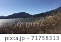 Mount Fuji and Lake Kawaguchi 71758313