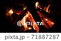 Night bonfire at a camping in the forest. 71887287