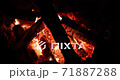 Night bonfire at a camping in the forest. 71887288