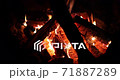 Night bonfire at a camping in the forest. 71887289