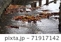 Water flowing through the waterway and fallen leaves 71917142