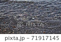 A beach where clear water gently undulates 71917145