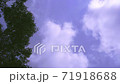 晴朗的天空和綠樹 71918688