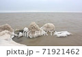Ice formation on a river in autumn, Ob reservoir 71921462