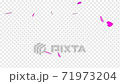 Valentines petals falling animation . Flower petal in shape of heart confetti  71973204