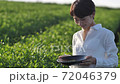茶畑　女性 72046379