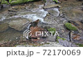 Belokurikha river Belokurikha city, Altai  72170069