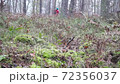 深い森の中を歩く女性 72356037