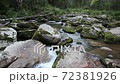 Belokurikha river on a summer day, Altai Territory 72381926