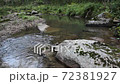 Belokurikha river on a summer day, Altai Territory 72381927