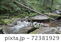 Belokurikha river on a summer day, Altai Territory 72381929