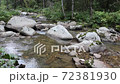 Belokurikha river on a summer day, Altai Territory 72381930