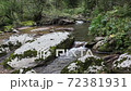 Belokurikha river on a summer day, Altai Territory 72381931