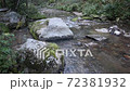 Belokurikha river on a summer day, Altai Territory 72381932