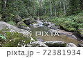 Belokurikha river on a summer day, Altai Territory 72381934