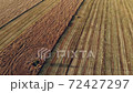 Drone flying over a beautiful wheat field. Electric supports in the wheat field during the harvest of wheat. Wheat field on which grain harvesters worked from aerial view. 72427297