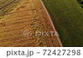 Aerial Cinematic clip: Drone flying over a wheat field after a strong hurricane. It is a pity caused by bad weather on the agricultural field. Top view of wheat field after pests. 72427298