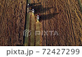 Top view of grain harvesters in a wheat field. Beautiful work of combines from a bird's eye view. A farmer collects golden ears of corn from his lands 72427299