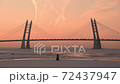 Sunset and flock of birds flying beside a cable-stayed bridge of Western High-Speed Diameter, over water covered with ice. Beautiful tranquil winter landscape in Saint Petersburg, Russia. 72437947