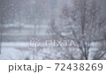 Snowflakes and snow dust float up and down with a park (blurry) in the background. Close up, shallow depth of field, low contrast, blurry. 72438269