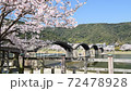 Cherry blossoms in full bloom and Kintai Bridge 72478928