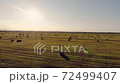 aerial shot beautiful sunset and hay bales on the field after harvest. Straw bales from a bird's eye view. The whole field is covered with bales of straw 72499407